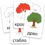 edukativne-kartice-delovi-drveta