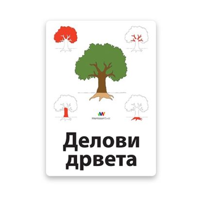 montesori-nomenklaturne-kartice-delovi-drveta-2