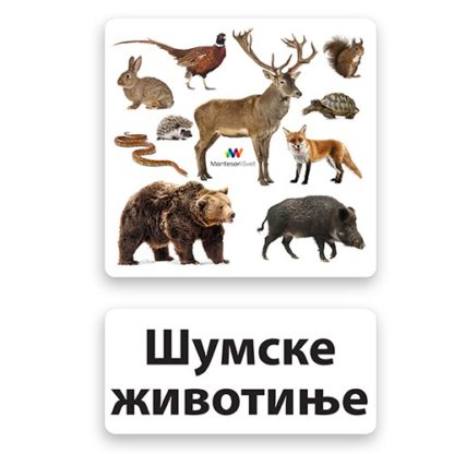 memorijske-kartice-šumske-životinje