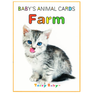 baby educational kards