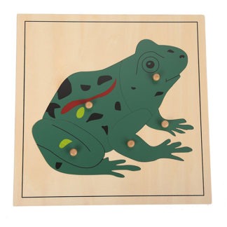 montessori puzzle frog